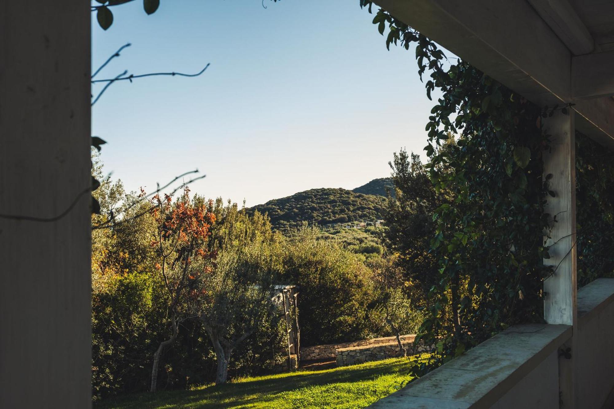 Masseria Santa Teresa Монополі Екстер'єр фото