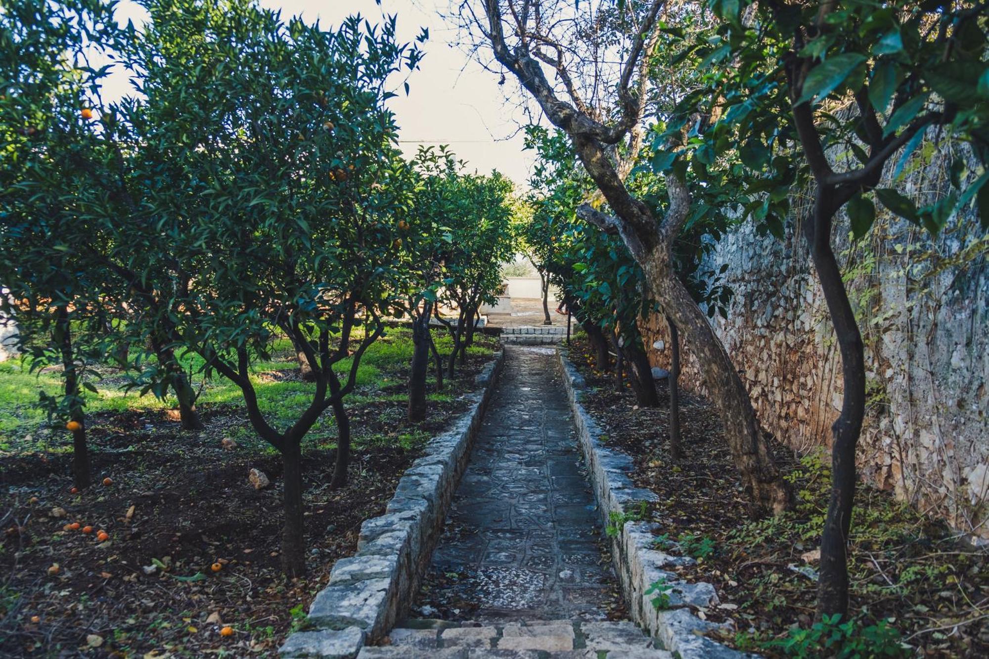 Masseria Santa Teresa Монополі Екстер'єр фото